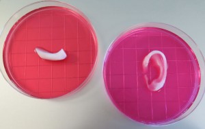 impressão de orgãos em 3D